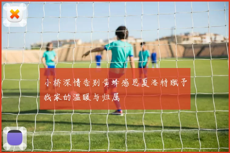 小桥深情告别黄蜂感恩夏洛特赋予我家的温暖与归属