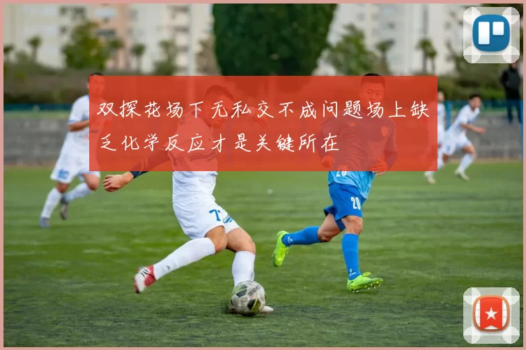 双探花场下无私交不成问题场上缺乏化学反应才是关键所在